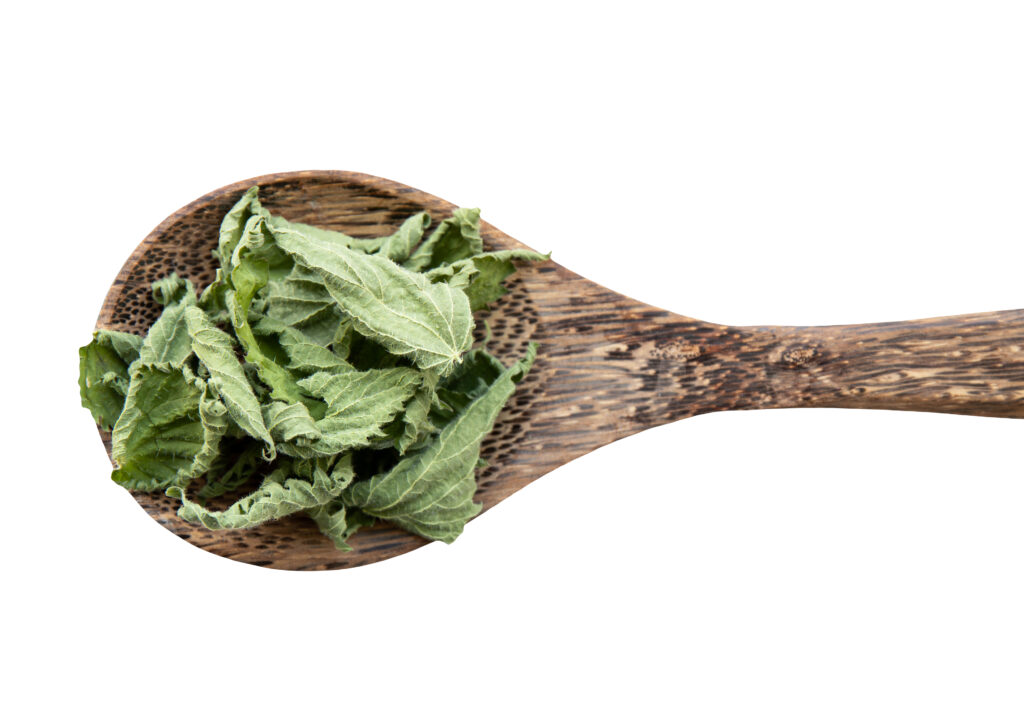 Dried nettle leaves on a wooden spoon from Joseph Flach & Sons